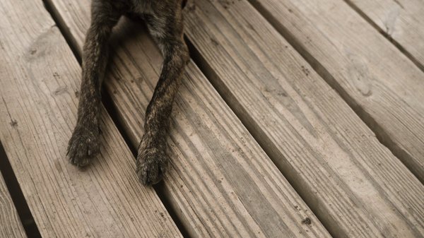 Quels exercices sont les plus efficaces pour renforcer le plancher pelvien pendant la grossesse ?