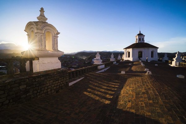 Quels sont les meilleurs substituts de sucre pour un régime faible en calories ?